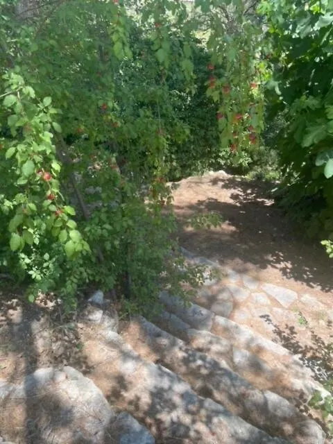 Apartamento Le Charmeur - Le Chalet Attrape-Coeur Aix-en-Provence